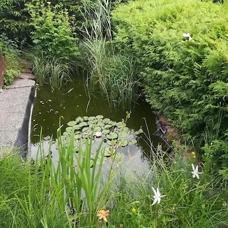 Haus Russold - Fewo11 Mit Balkon In Entspannter Atmosphaere - Gruener Apartment
