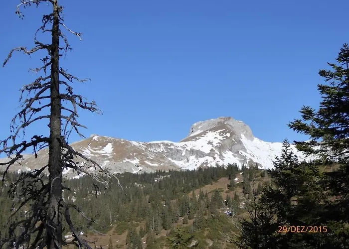 Haus Russold - Fewo11 Mit Balkon In Entspannter Atmosphaere - Gruener *