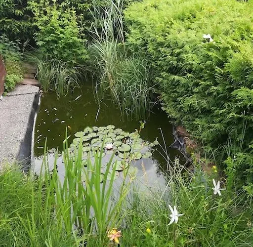 Haus Russold - Fewo11 Mit Balkon In Entspannter Atmosphaere - Gruener Apartman